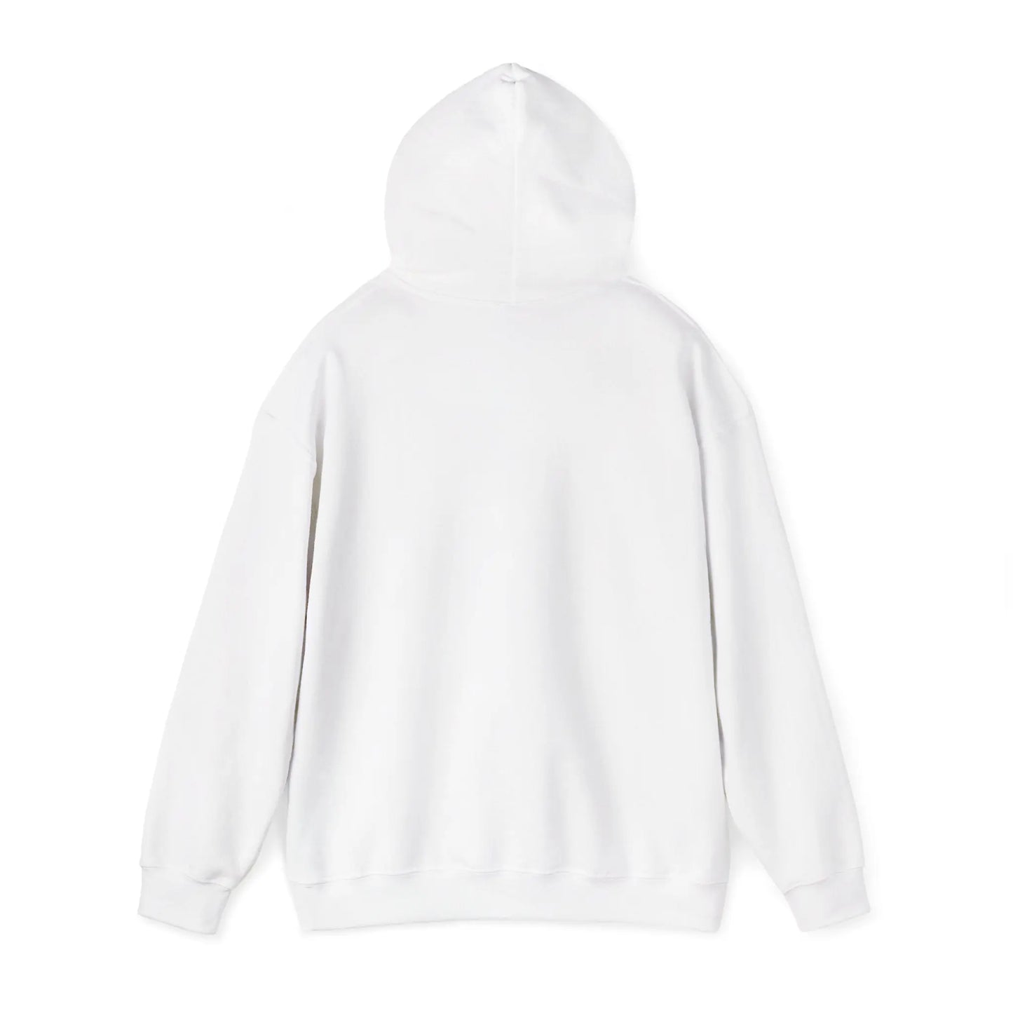 Not Ashamed Hoodie | Romans 1:16 Christian Hoodie | Faith-Based Streetwear Sweatshirt | Rehoboth’s Kloset Printify
