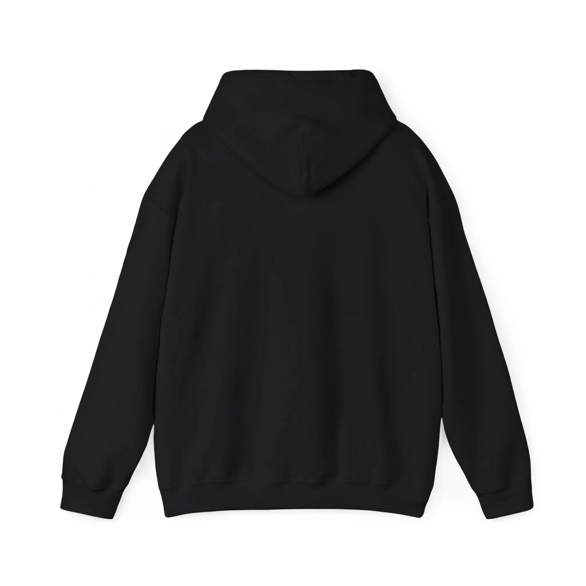 Not Ashamed Hoodie | Romans 1:16 Christian Hoodie | Faith-Based Streetwear Sweatshirt | Rehoboth’s Kloset Printify