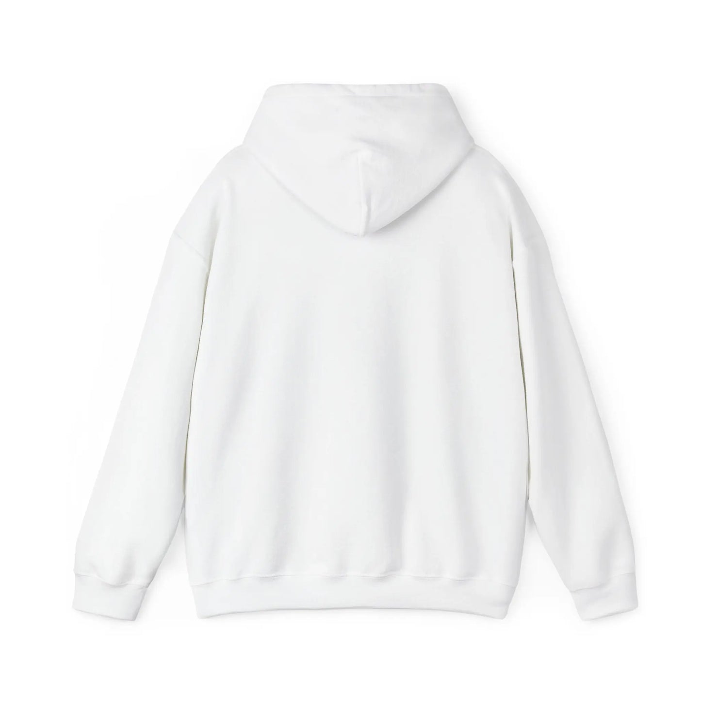 Not Ashamed Hoodie | Romans 1:16 Christian Hoodie | Faith-Based Streetwear Sweatshirt | Rehoboth’s Kloset Printify