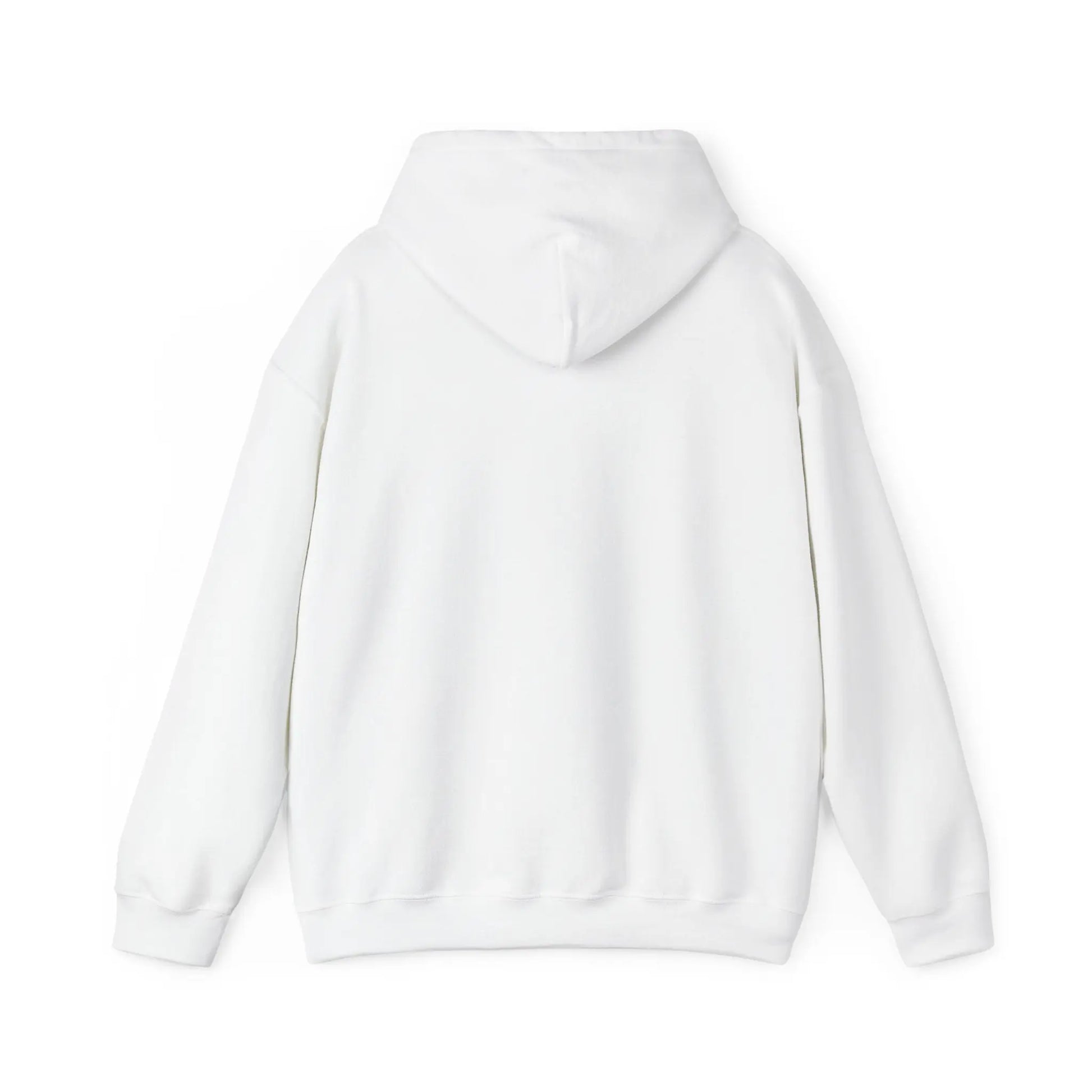 Not Ashamed Hoodie | Romans 1:16 Christian Hoodie | Faith-Based Streetwear Sweatshirt | Rehoboth’s Kloset Printify