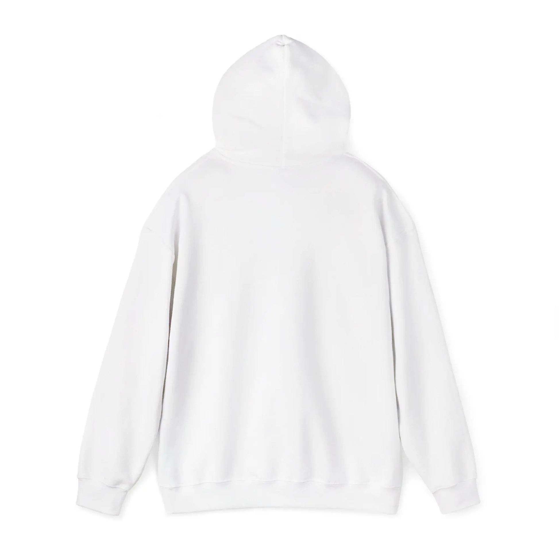 Not Ashamed Hoodie | Romans 1:16 Christian Hoodie | Faith-Based Streetwear Sweatshirt | Rehoboth’s Kloset Printify