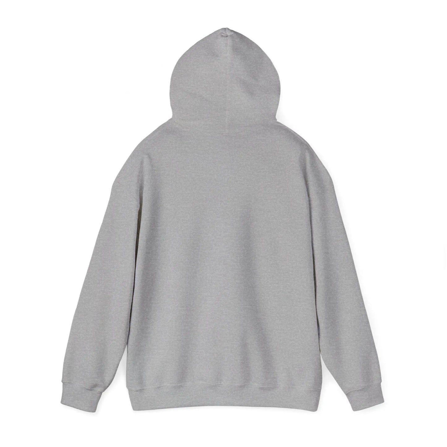 Not Ashamed Hoodie | Romans 1:16 Christian Hoodie | Faith-Based Streetwear Sweatshirt | Rehoboth’s Kloset Printify