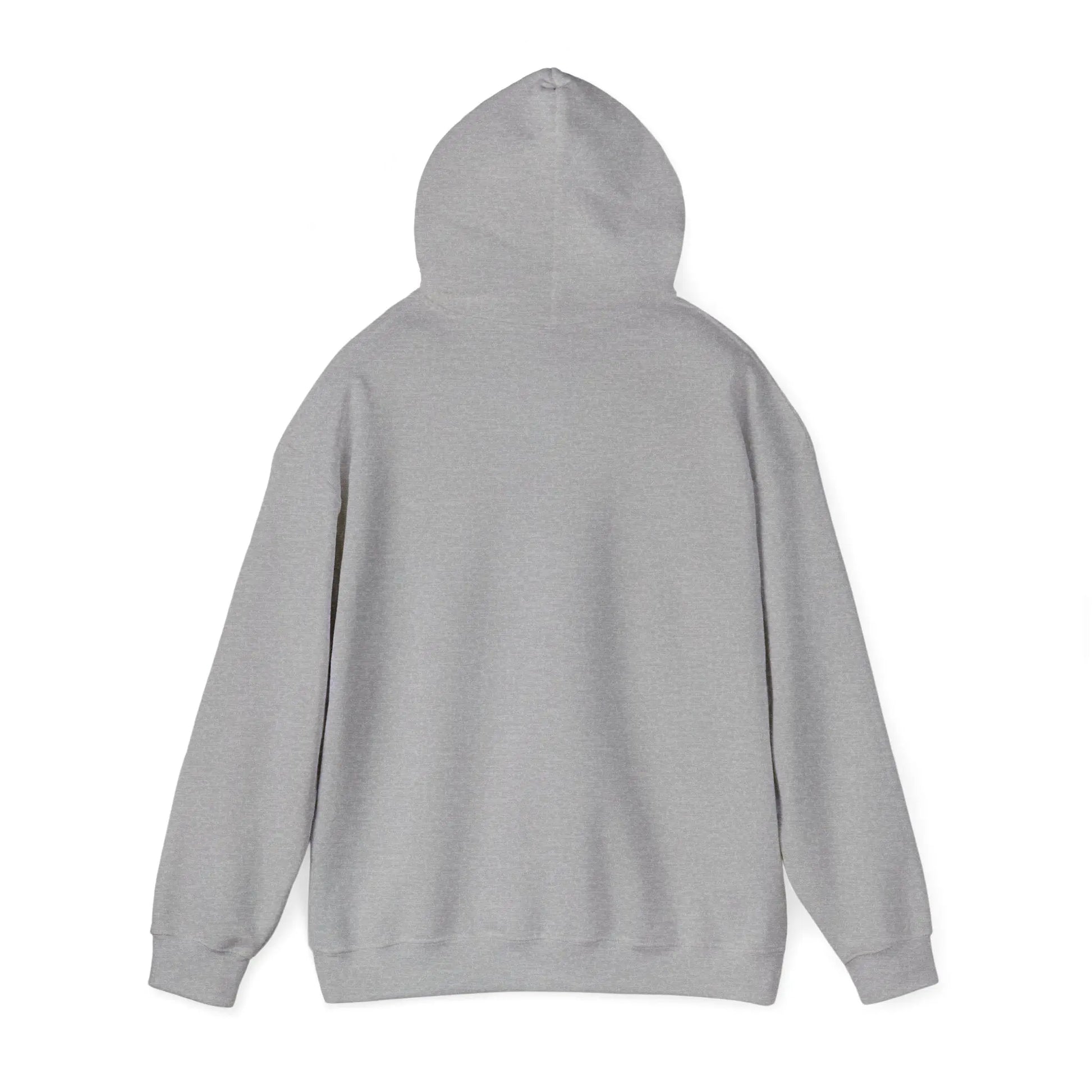 Not Ashamed Hoodie | Romans 1:16 Christian Hoodie | Faith-Based Streetwear Sweatshirt | Rehoboth’s Kloset Printify