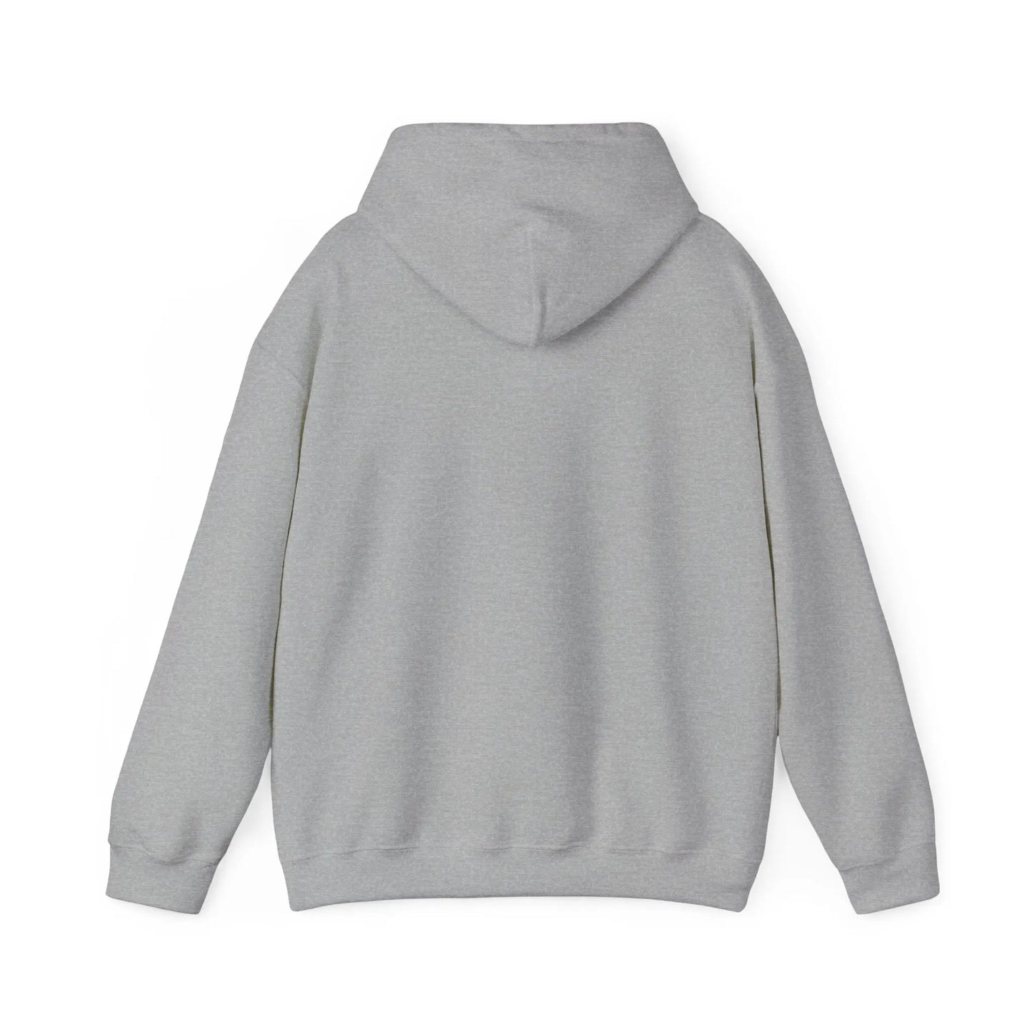 Not Ashamed Hoodie | Romans 1:16 Christian Hoodie | Faith-Based Streetwear Sweatshirt | Rehoboth’s Kloset Printify
