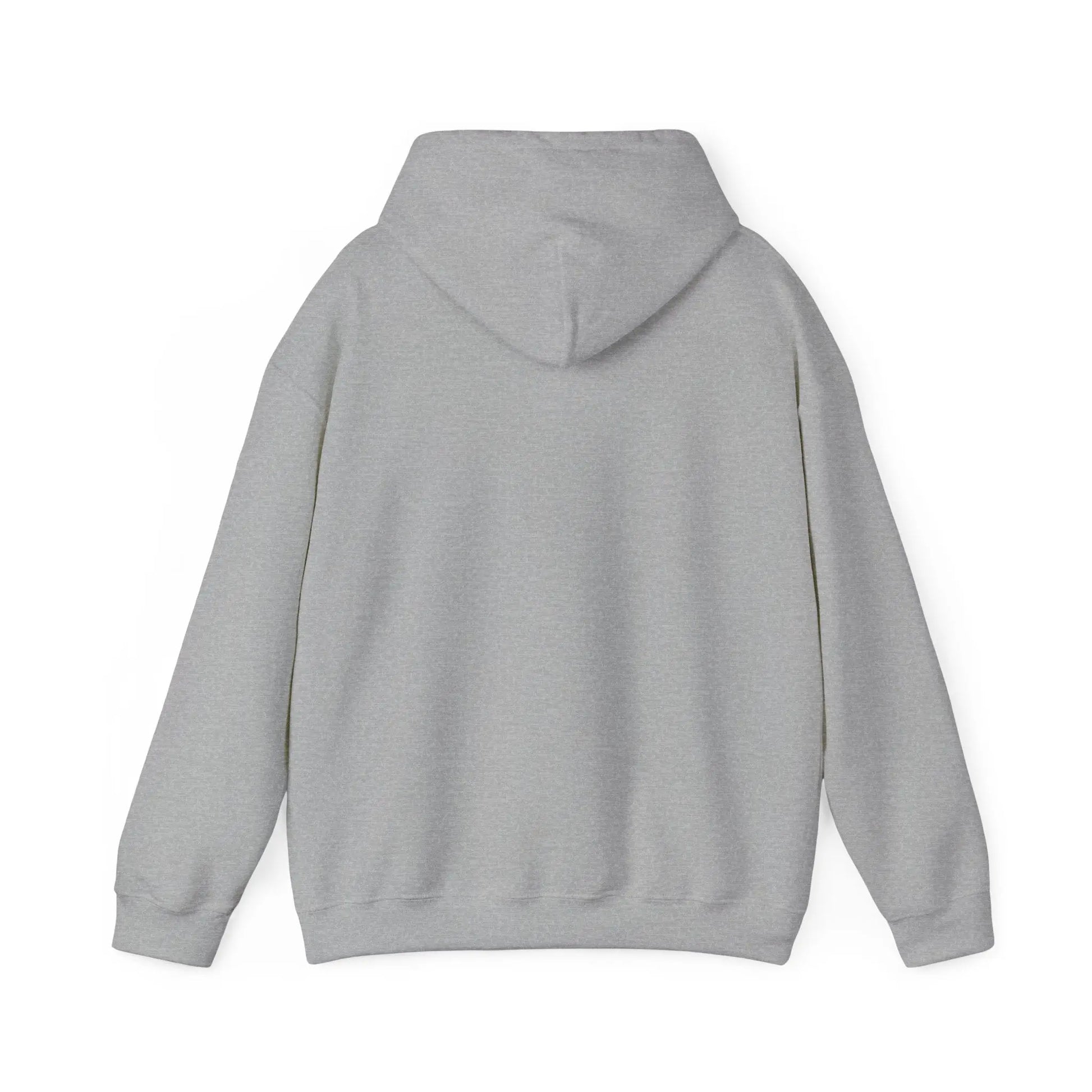 Not Ashamed Hoodie | Romans 1:16 Christian Hoodie | Faith-Based Streetwear Sweatshirt | Rehoboth’s Kloset Printify