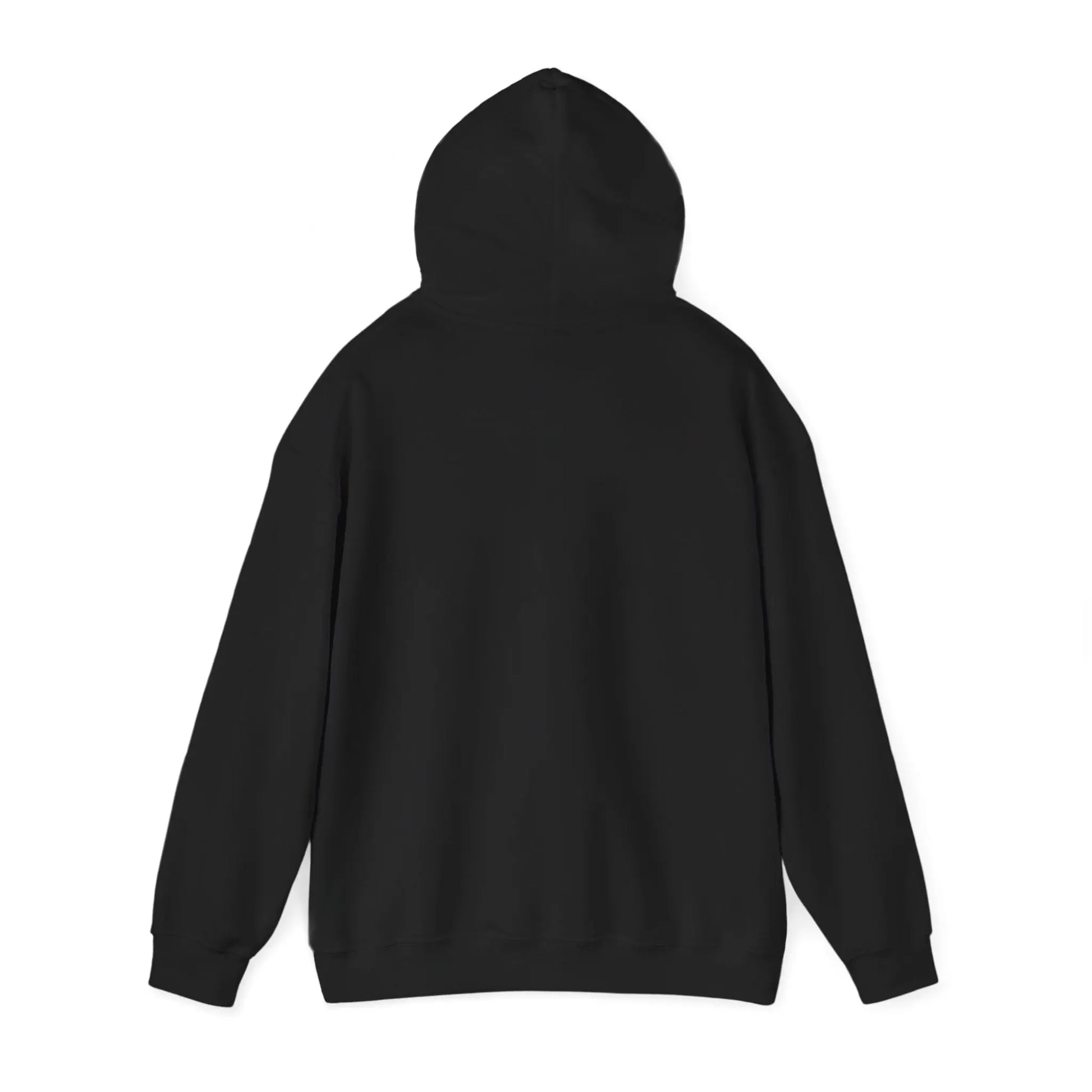 Not Ashamed Hoodie | Romans 1:16 Christian Hoodie | Faith-Based Streetwear Sweatshirt | Rehoboth’s Kloset Printify