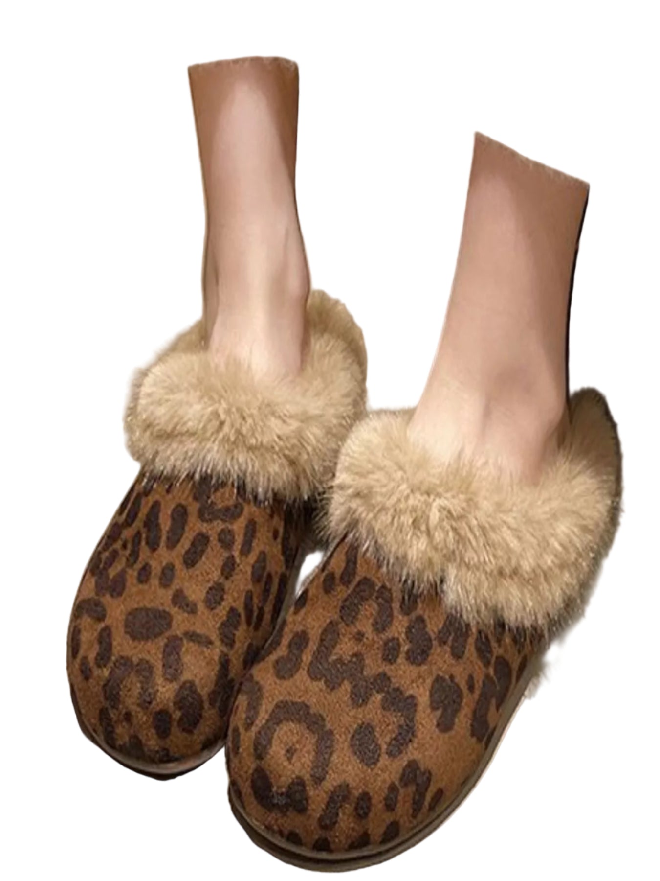 9c407524-bd55-4426-9d3b-502a1daed25e-Max-Origin